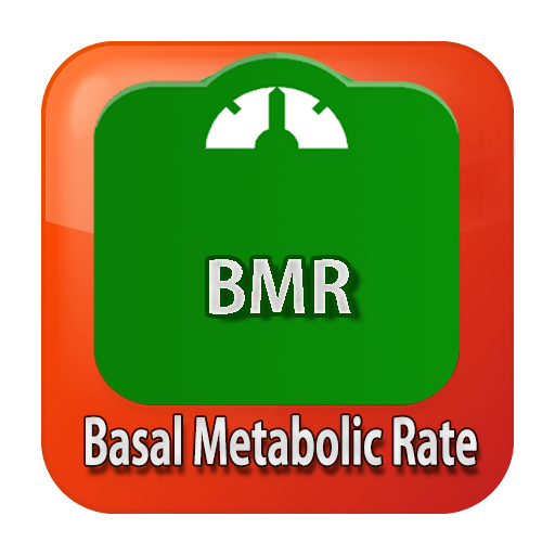 BMR Scale